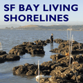 go_to_sfbaylivingshorelines